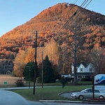 Image of Traces of Tiger (1)