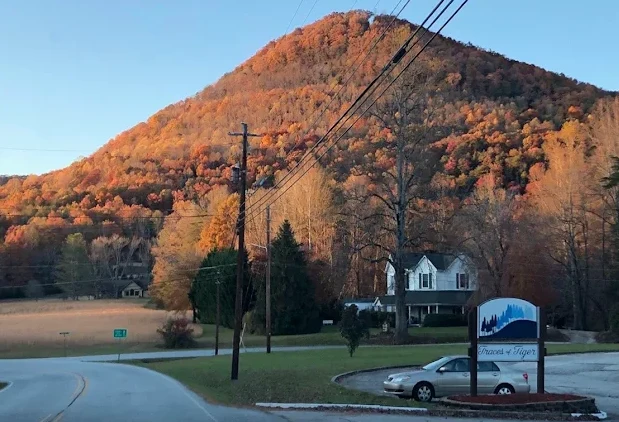 Image of Traces of Tiger (1)