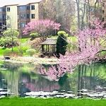 Image of Meadowood Senior Living (4)