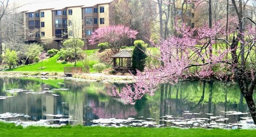 Image of Meadowood Retirement Community (4)