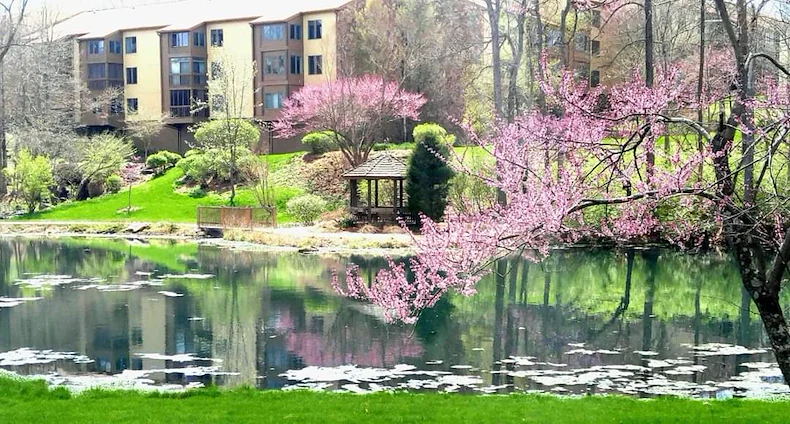 Image of Meadowood Senior Living (4)