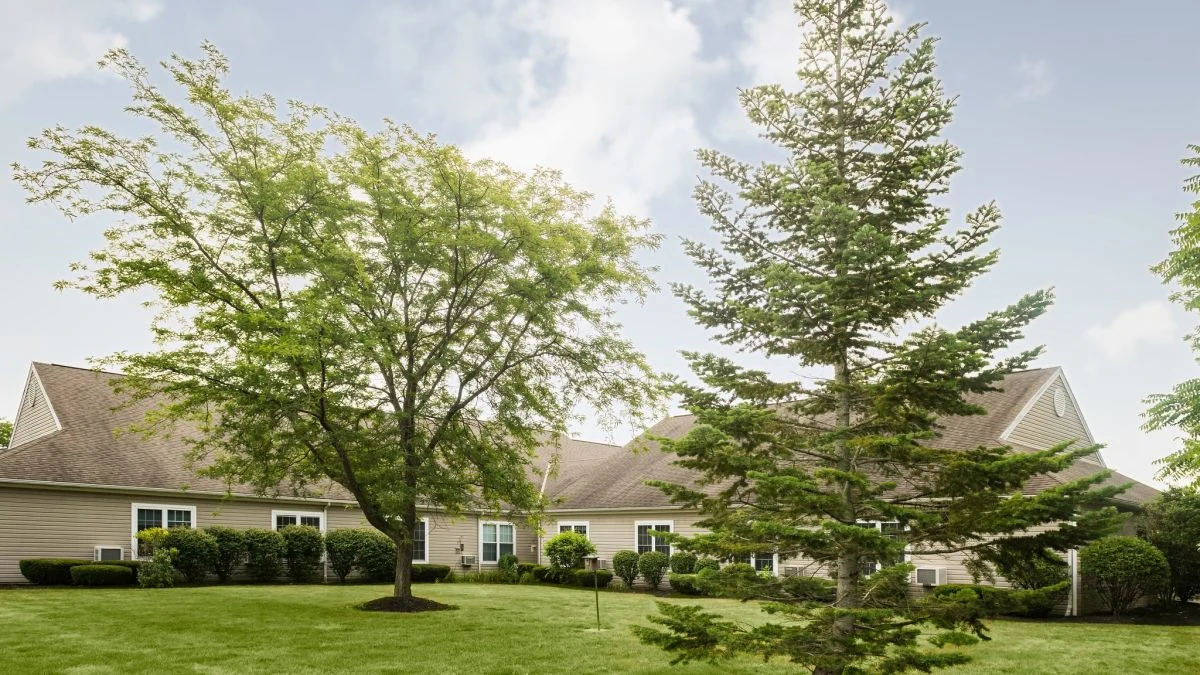 Image of Kingston Residence of Vermilion (7)