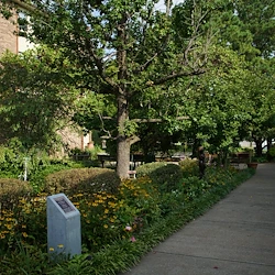 Image of Park Place Retirement Community (4)