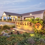 Image of Trellis Chino (1)