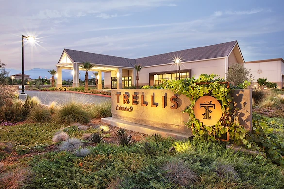 Image of Trellis Chino (1)