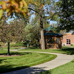 Image of British Home, The (5)