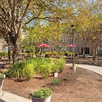 Image of Brookdale Hamilton Wolfe (10)