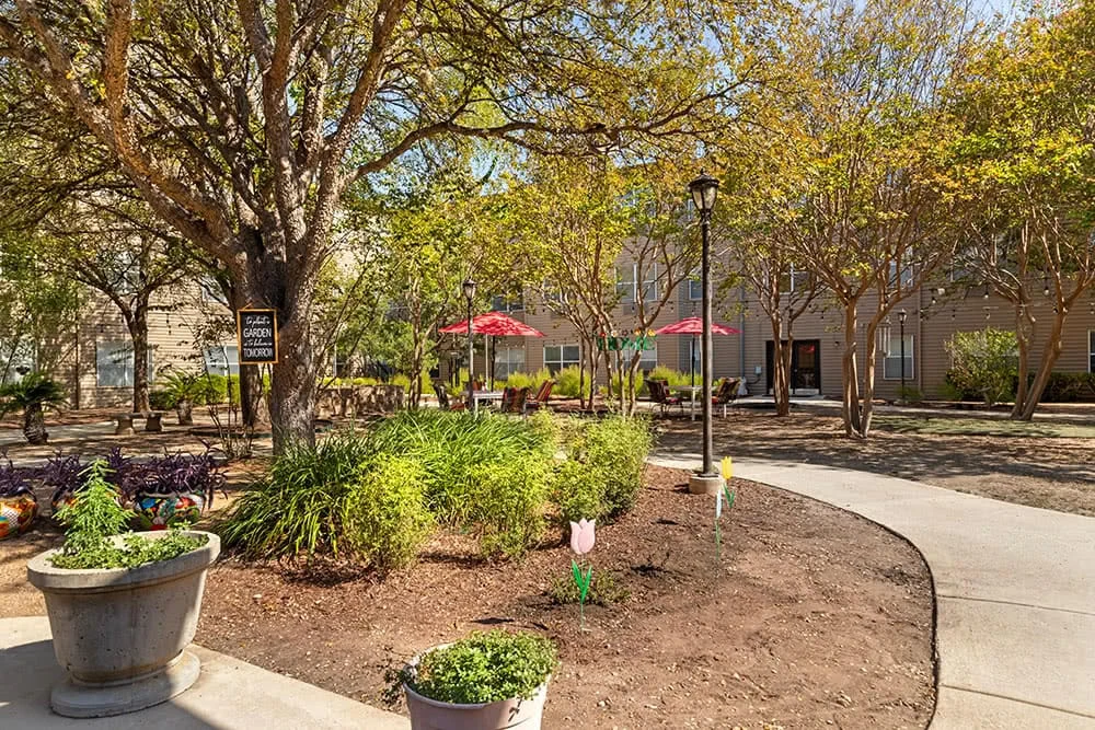 Image of Brookdale Hamilton Wolfe (10)