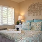 Image of The Opal at Spring Hill (7)