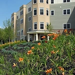 Image of The Woodlands (1)