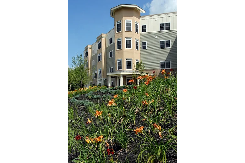 Image of The Woodlands (1)
