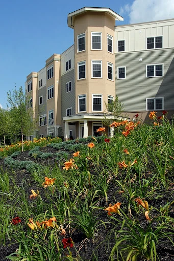 Image of The Woodlands (1)