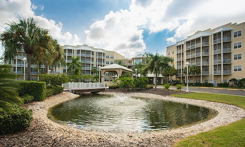 Image of Regal Palms (3)