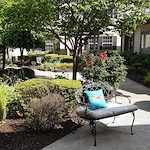 Image of The Carriages of Rivergate (2)