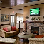 Image of Atria Grapevine (4)