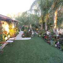Image of The Haven (2)