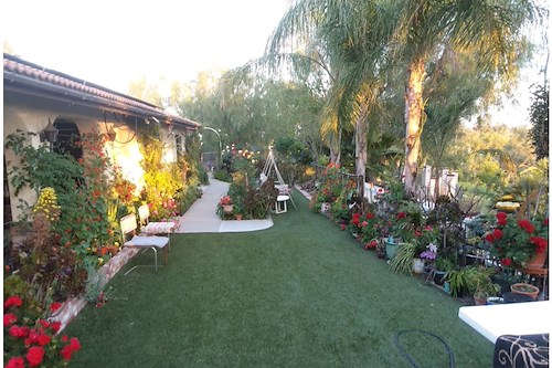 Image of The Haven (2)