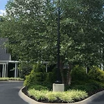 Image of The Courtyards at Knoxville - The Meadows (9)