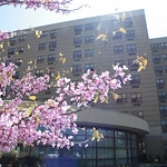 Image of Crown Center for Senior Living (1)