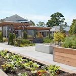 Image of Golden Oak Manor (4)