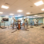 Image of Azalea of Cinnaminson (8)