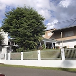 Image of Millennium Institute For Advanced Nursing Care (1)