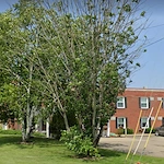 Image of Stellar Care Center (1)