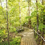 Image of Westminster-Canterbury Of Lynchburg Inc (5)