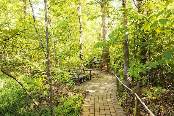 Image of Westminster-Canterbury Of Lynchburg Inc (5)