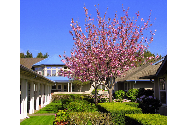 Image of Clearbrook Inn (8)