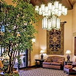 Image of Sante Of Surprise (4)