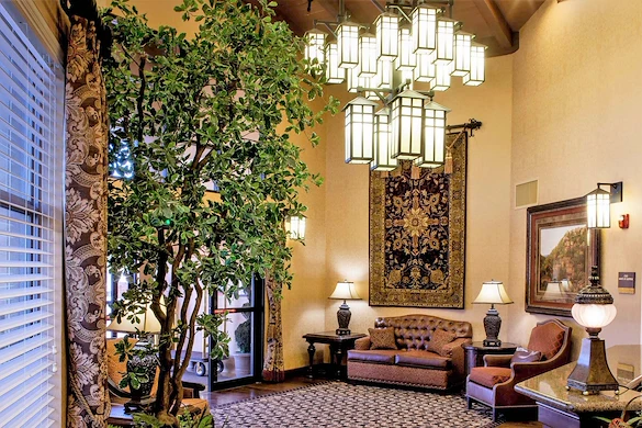 Image of Sante Of Surprise (4)