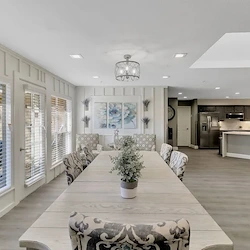 Image of Silver Leaf Plano (3)