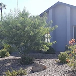 Image of Hummingbird Haven (9)