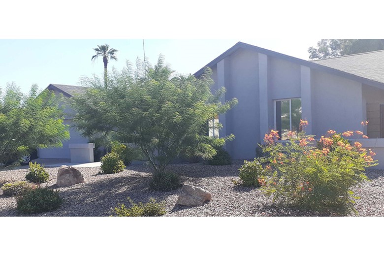 Image of Hummingbird Haven (9)
