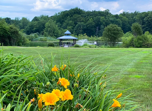 Image of Solstice Senior Living at Guilford (2)