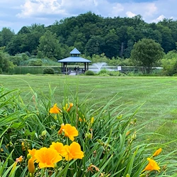 Image of Solstice Senior Living at Guilford (2)