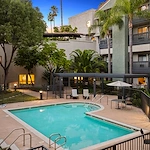 Image of Ivy Park of Wellington (10)