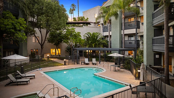 Image of Ivy Park of Wellington (10)