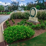 Image of Oaks at Braselton (1)