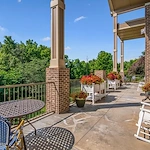 Image of Rain Forest Landings (10)