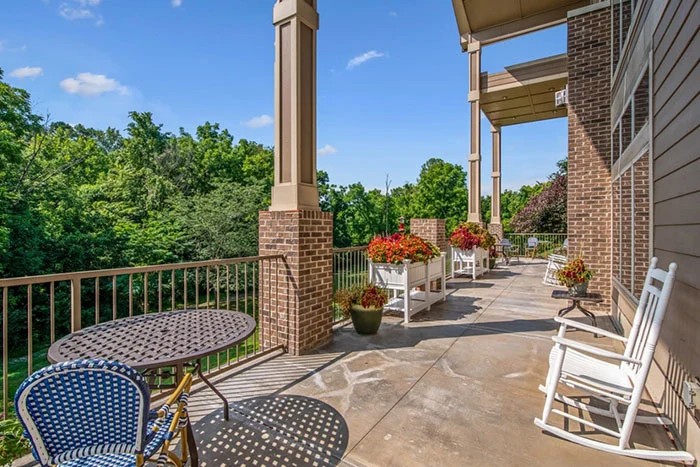 Image of Rain Forest Landings (10)