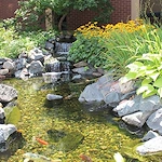 Image of Catholic Eldercare On Main (5)