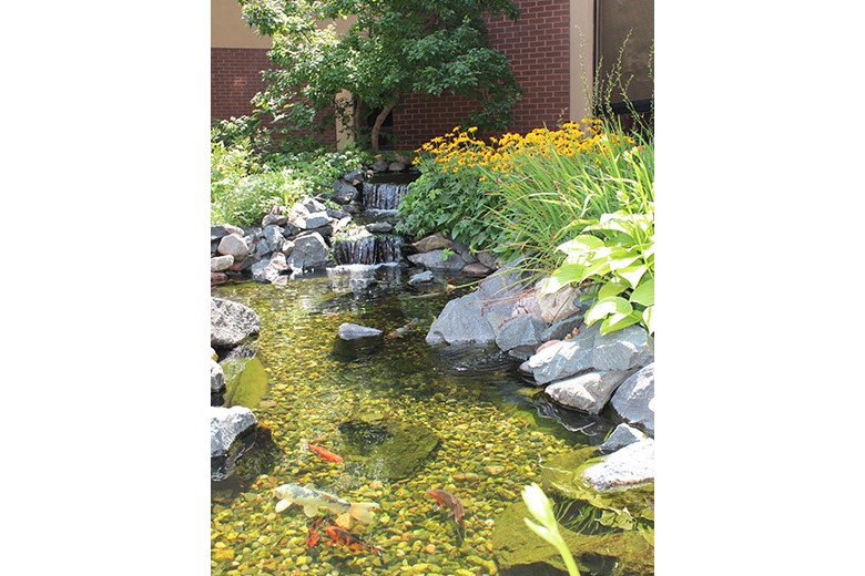 Image of Catholic Eldercare On Main (5)