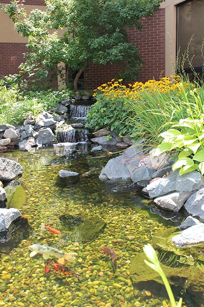 Image of Catholic Eldercare On Main (5)