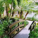 Image of The Solaire at Las Palmas Village (2)