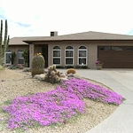 Image of Valley Oasis Adult Care Home (1)