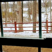 Image of Bethesda Ranch AFH (4)