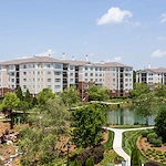 Image of The Cypress of Raleigh (1)