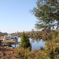 Image of Myrtle Beach Manor Senior Living (1)